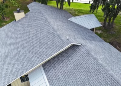 Professional Roofing