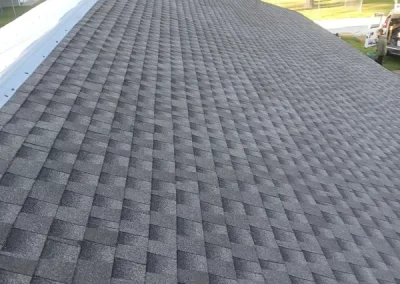 Professional Roofing