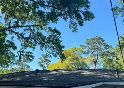 Professional Roofing