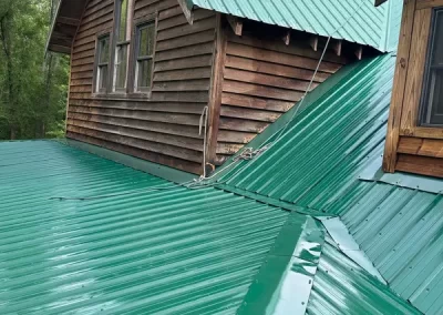 Professional Roofing