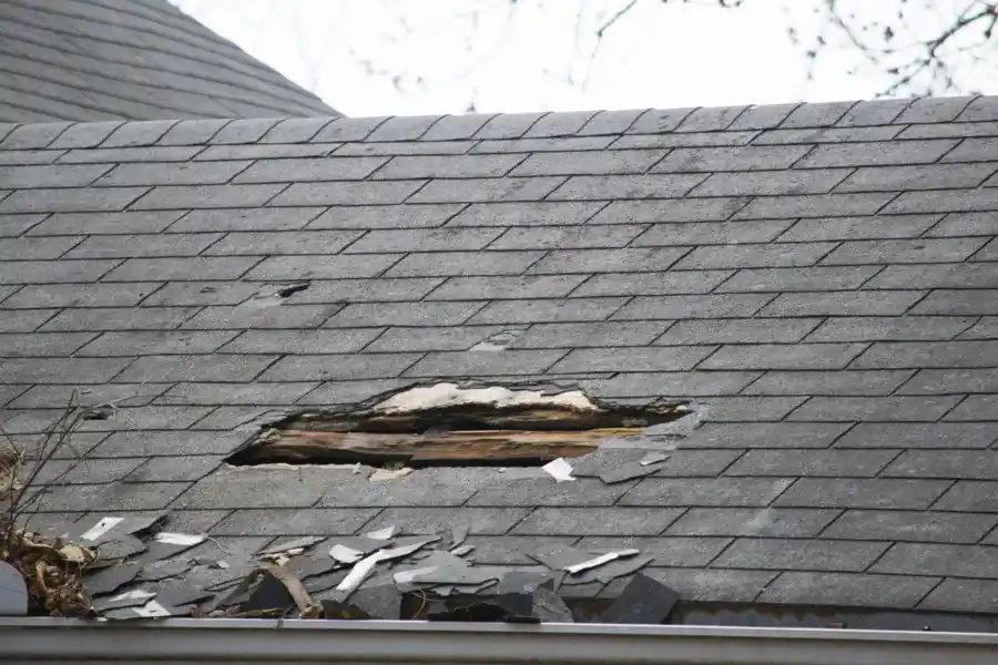 How To Fix A Leaking Roof Savannah, GA