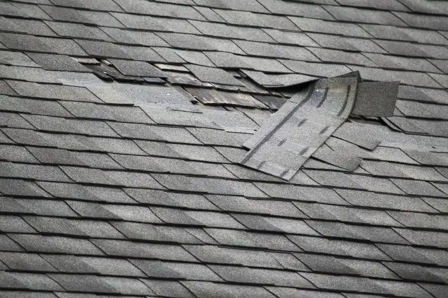 How To Fix A Leaking Roof in Savannah, GA
